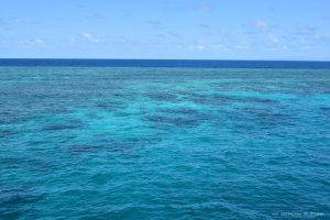 Gran Barrera de Coral