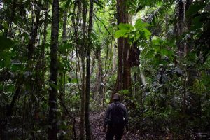 Amazonia Equatoriana