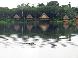 Caiman Napo Wildlife Center