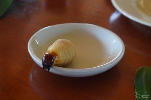 Chontacuros