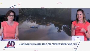 À Punt Directe Estiu Amazònia Equatoriana