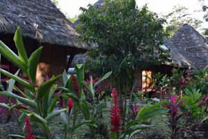 Napo Cultural Center