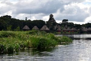 Napo wildlife Equador