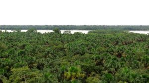 Riu Napo equador