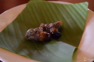 chontacuros cuinats
