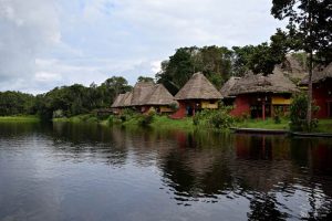 Napo Wildlife Center